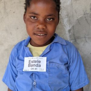 Estele CK 41