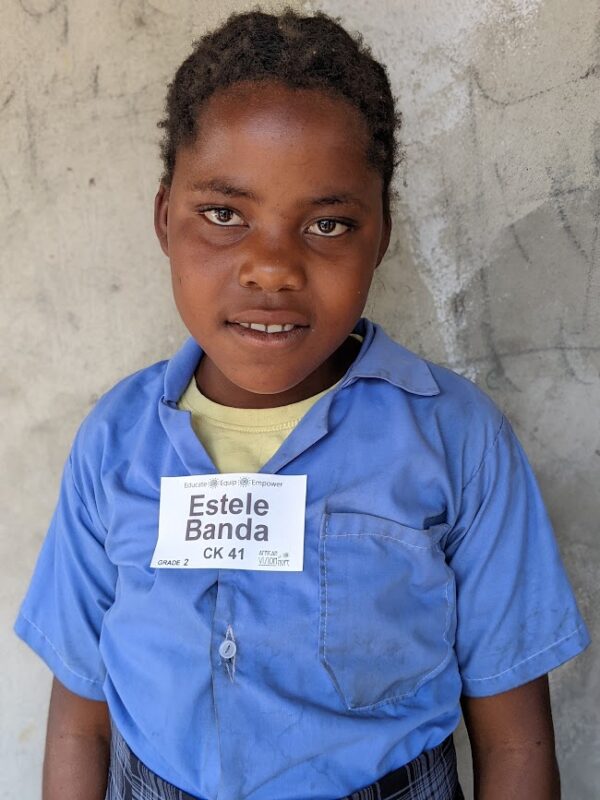Estele CK 41