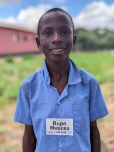 Bupe CH 2495